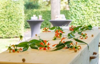 uitvaartverzorging leeuwarden